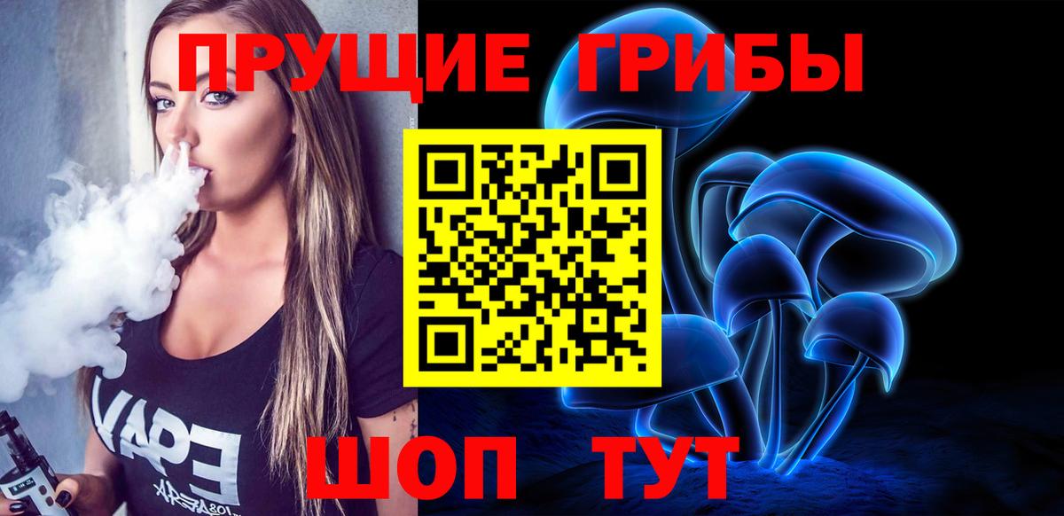 Псилоцибиновые грибы Psilocybe Ливны